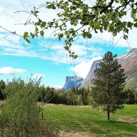 Torfoss Gard, Hytte Utleie, Campingvogn Og Bobil Plasser Potka Exterior foto