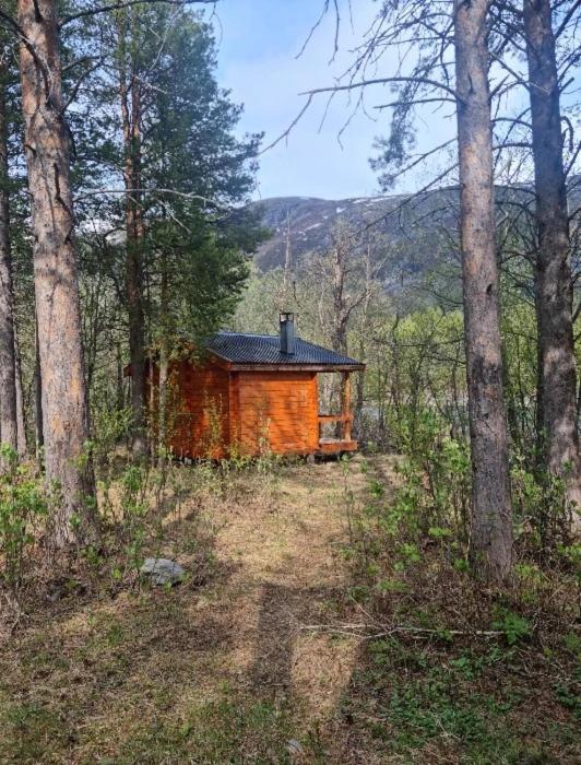 Torfoss Gard, Hytte Utleie, Campingvogn Og Bobil Plasser Potka Exterior foto