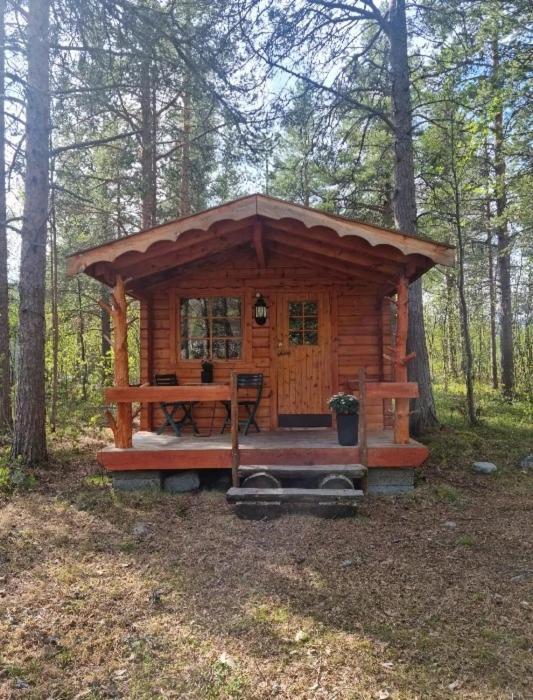 Torfoss Gard, Hytte Utleie, Campingvogn Og Bobil Plasser Potka Exterior foto
