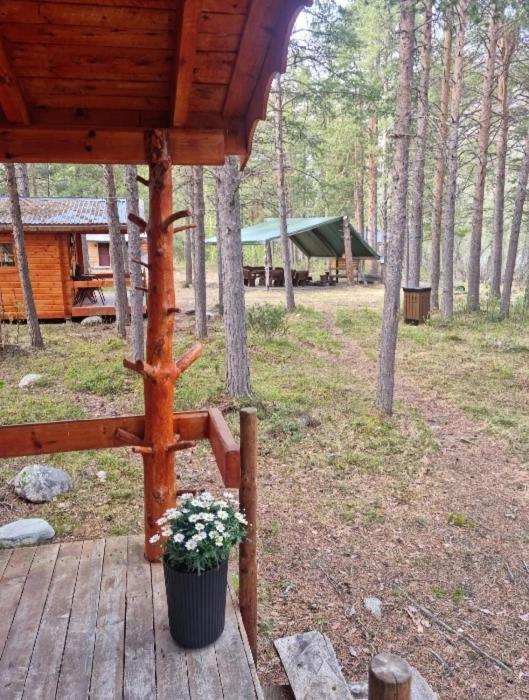 Torfoss Gard, Hytte Utleie, Campingvogn Og Bobil Plasser Potka Exterior foto