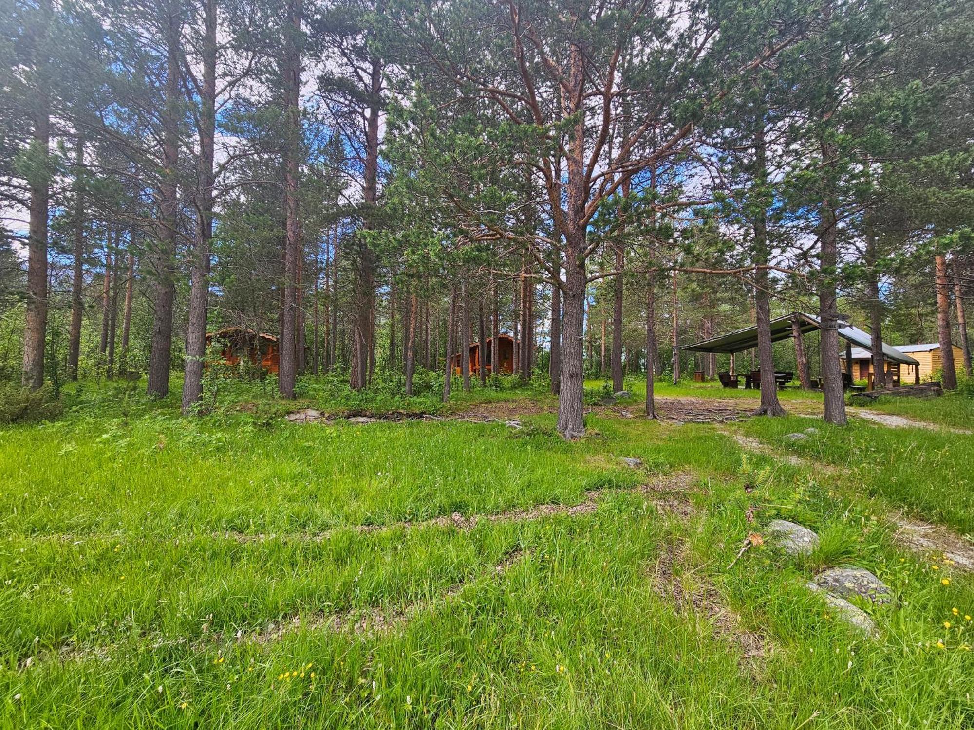 Torfoss Gard, Hytte Utleie, Campingvogn Og Bobil Plasser Potka Exterior foto